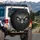 Menacing Creature Face Furrowed Brow Grey Skin Yellowish Irises - Wildlife Lover Gift Spare Tire Cover - 3