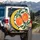 Orange Poppy Golden Stamen Dark Green Leaves - Botanical Home Decor Gift Spare Tire Cover - 3