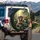 Raccoons Straw Hats Lollipop Vintage Car Woodland Bubbles - Nature Lover Gift Spare Tire Cover - 3