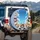 Domestic Tabbies Calico Cats Cloudscape - Cat Lover Gift Spare Tire Cover - 3