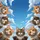 Domestic Tabbies Calico Cats Cloudscape - Cat Lover Gift Spare Tire Cover - 6