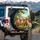 Four Golden Retrievers Side-by-Side Lush Forest Hills Clear Sky - Dog Lover Gift for Pet Owners Spare Tire Cover - 3