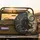 Skeletal Pirate Kraken Octopus - Nautical Adventure Seeker Gift Spare Tire Cover - 2