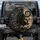 Skeletal Pirate Kraken Octopus - Nautical Adventure Seeker Gift Spare Tire Cover - 1