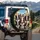 Black White Brown Border Collies Tropical Town - Dog Lover Gift for Pet Owners Spare Tire Cover - 3