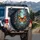 Monarch Butterfly Swarm Glowing Orbs Botanical Twilight Forest - Butterfly Lover Gift Spare Tire Cover - 3