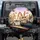 Anthropomorphic Rabbits Road Trip Journey Scene - Travel Essentials Gift Spare Tire Cover - 1