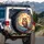 Owl on Gnarled Branch Full Moon Autumn Leaves - Nature Lover Gift Spare Tire Cover - 3