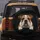 Bulldog Portrait Brown White Patchy Coat - Pet Lover Gift for Dog Owners Spare Tire Cover - 5