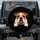 Bulldog Portrait Brown White Patchy Coat - Pet Lover Gift for Dog Owners Spare Tire Cover - 1