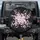 Cherry Blossom Foliage Starlight Night Scene - Home Decor Gift for Nature Lover Spare Tire Cover - 1