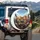 Five Bengal Cats Car Interior Selfie Smartphone Sunglasses - Cat Lover Gift Spare Tire Cover - 3