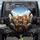 Five Bengal Cats Car Interior Selfie Smartphone Sunglasses - Cat Lover Gift Spare Tire Cover - 1