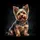 Fluffy Yorkshire Terrier Sitting Portrait - Dog Lover Gift Spare Tire Cover - 6