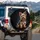 Fluffy Yorkshire Terrier Sitting Portrait - Dog Lover Gift Spare Tire Cover - 3