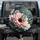 Black White Butterfly Blush Pink Floral - Nature Lover Home Decor Gift Spare Tire Cover - 1