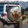 Highland Cattle Moorland Farmhouse Home Decor Gift for Cow Lover Spare Tire Cover - 3