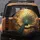 Majestic Peacock Fanned Tail Tree Branch Golden Leaves Sunlit Forest Wildlife Lover Gift Spare Tire Cover - 5