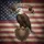 Bald Eagle American Flag Shield 250 Year Anniversary Celebration for Veterans Spare Tire Cover - 6