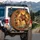 Sun-Drenched Camel Jeweled Saddle Desert Oasis Middle Eastern - Home Decor Gift Spare Tire Cover - 3