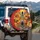 Zebra Cheetah Tiger Leopard Tropical Foliage - Wildlife Lover Gift Spare Tire Cover - 3