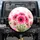 Realistic Pink Gerbera Daisy Field - Home Decor Gift for Flower Garden Lover Spare Tire Cover - 1