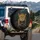Detailed Realistic Emerald Eye Leopard Jungle Forest - Big Cat Wildlife Lover Gift Spare Tire Cover - 3