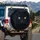 Black Cat Sleek Fur Whiskers - Cat Lover Home Decor Gift Spare Tire Cover - 3