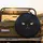 Black Cat Sleek Fur Whiskers - Cat Lover Home Decor Gift Spare Tire Cover - 2