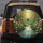 Green Gold Dragonfly Stream Wildflowers - Wildlife Lover Gift Spare Tire Cover - 5
