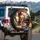 Chihuahua Cowboy Hat Driver Dogs Luxury Car Interior - Road Trip Essentials for Drivers Spare Tire Cover - 3