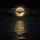 Majestic Full Moon Radiant Light Eagle Soaring Water Reflection - Nature Lover Gift Spare Tire Cover - 6
