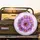 Glistening Purple Aster Flowers Water Droplets - Home Decor Gift for Garden Lovers Spare Tire Cover - 2
