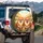 Fluffy Happy Pomeranian Dogs Sun-Drenched Natural Landscape Bright Sky - Dog Lover Gift Spare Tire Cover - 3
