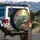 Vibrant Panther Chameleon Tropical Garden Gnarled Branch - Nature Lover Wildlife Gift Spare Tire Cover - 3