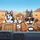 Happy Cartoon Dogs Road Trip - Travel Essentials Gift for Dog Lovers Spare Tire Cover - 6