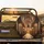 Majestic European Cathedral Interior Altar Nave - Architecture Lover Gift Spare Tire Cover - 2