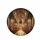 Majestic European Cathedral Interior Altar Nave - Architecture Lover Gift Spare Tire Cover - 4