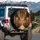 Majestic European Cathedral Interior Altar Nave - Architecture Lover Gift Spare Tire Cover - 3