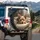 Blonde Brown Fur Yorkshire Terrier Puppy Resting Plush Rug - Home Decor Gift for Dog Lover Spare Tire Cover - 3
