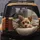 Blonde Brown Fur Yorkshire Terrier Puppy Resting Plush Rug - Home Decor Gift for Dog Lover Spare Tire Cover - 5