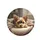 Blonde Brown Fur Yorkshire Terrier Puppy Resting Plush Rug - Home Decor Gift for Dog Lover Spare Tire Cover - 4