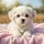 White Maltese Puppy Pink Blanket - Home Decor Gift for Dog Lovers Spare Tire Cover - 6