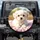 White Maltese Puppy Pink Blanket - Home Decor Gift for Dog Lovers Spare Tire Cover - 1