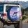 Dolphins Leaping Moon Ocean Stars - Wildlife Lover Gift Spare Tire Cover - 3