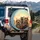 Excited Cats Sunglasses Bowties - Adventure Travel Gift For Pet Owners Spare Tire Cover - 3