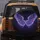 Fantasy Wings Iridescent Glow - Home Decor Gift Spare Tire Cover - 5