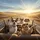 Sunglass Dogs Golden Hour Road Trip Landscape - Traveler Gift for Dog Lover Spare Tire Cover - 6