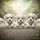 Four Fluffy White Maltese Puppies Peeking Outdoor Scene - Dog Lover Gift Spare Tire Cover - 6