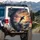 Orca Killer Whale Dark Blue Ocean Sunlit Waves Breaching Sunset - Wildlife Lover Gift Spare Tire Cover - 3